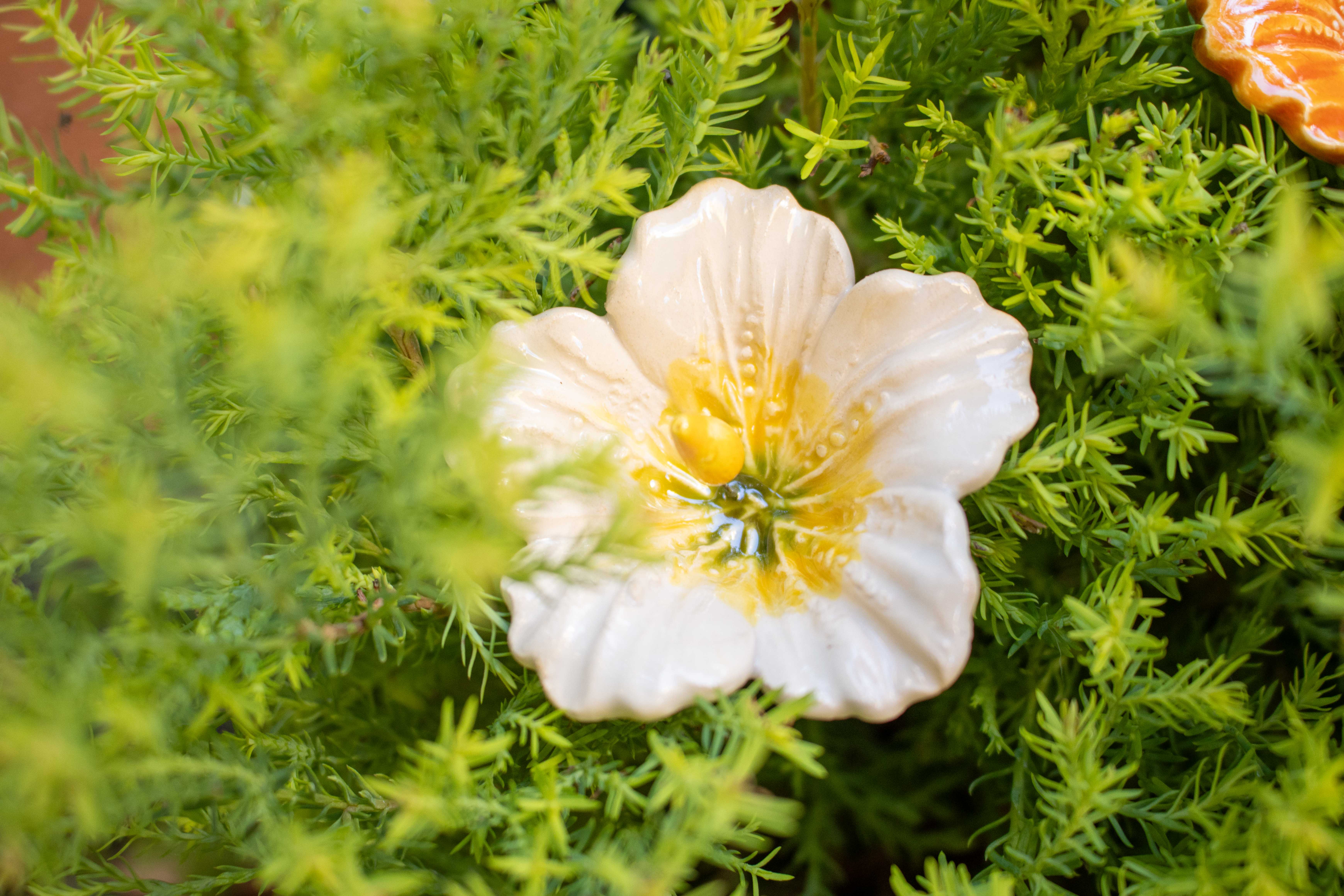 keramik hibiscus