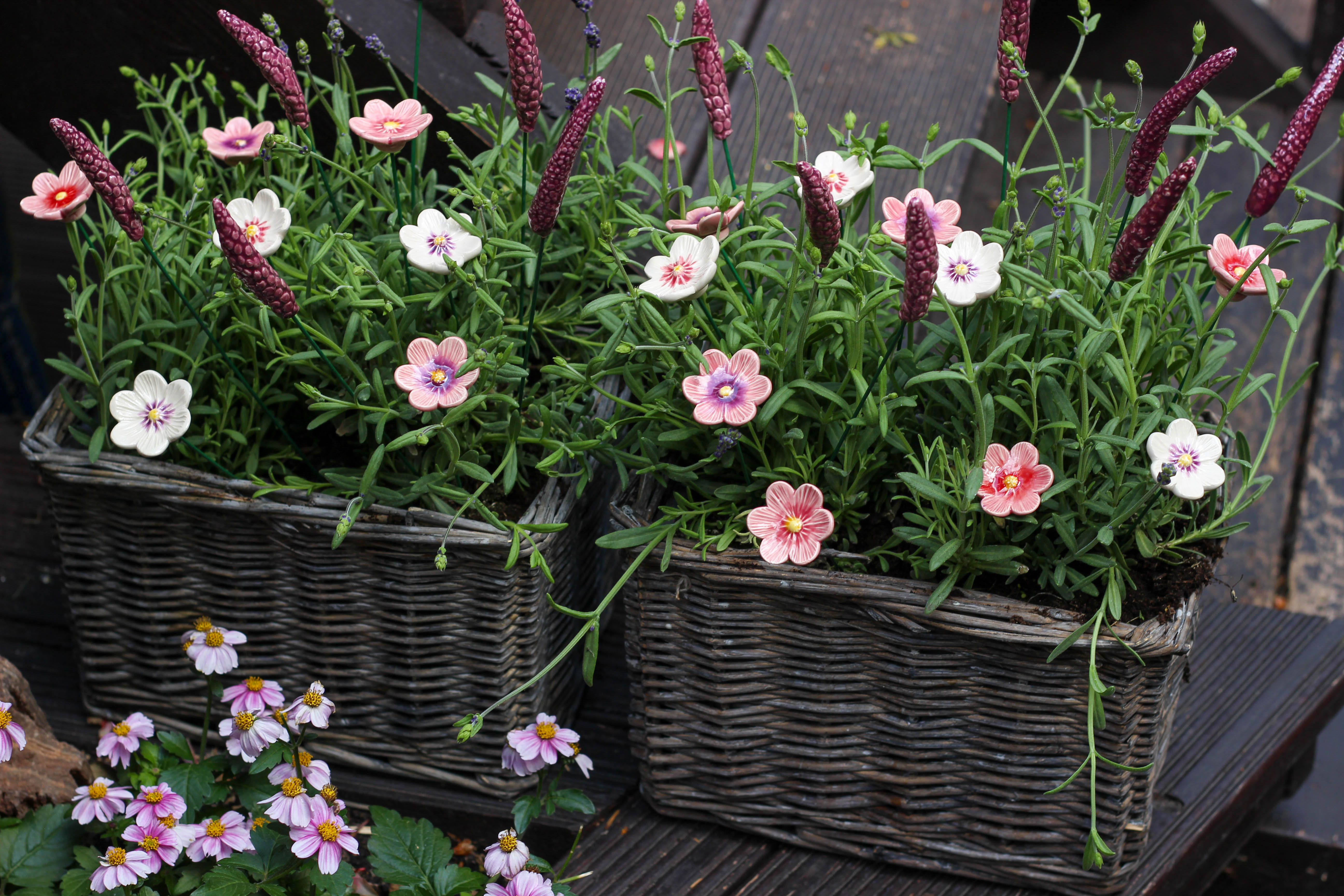 Lavendel und Keramikblumen