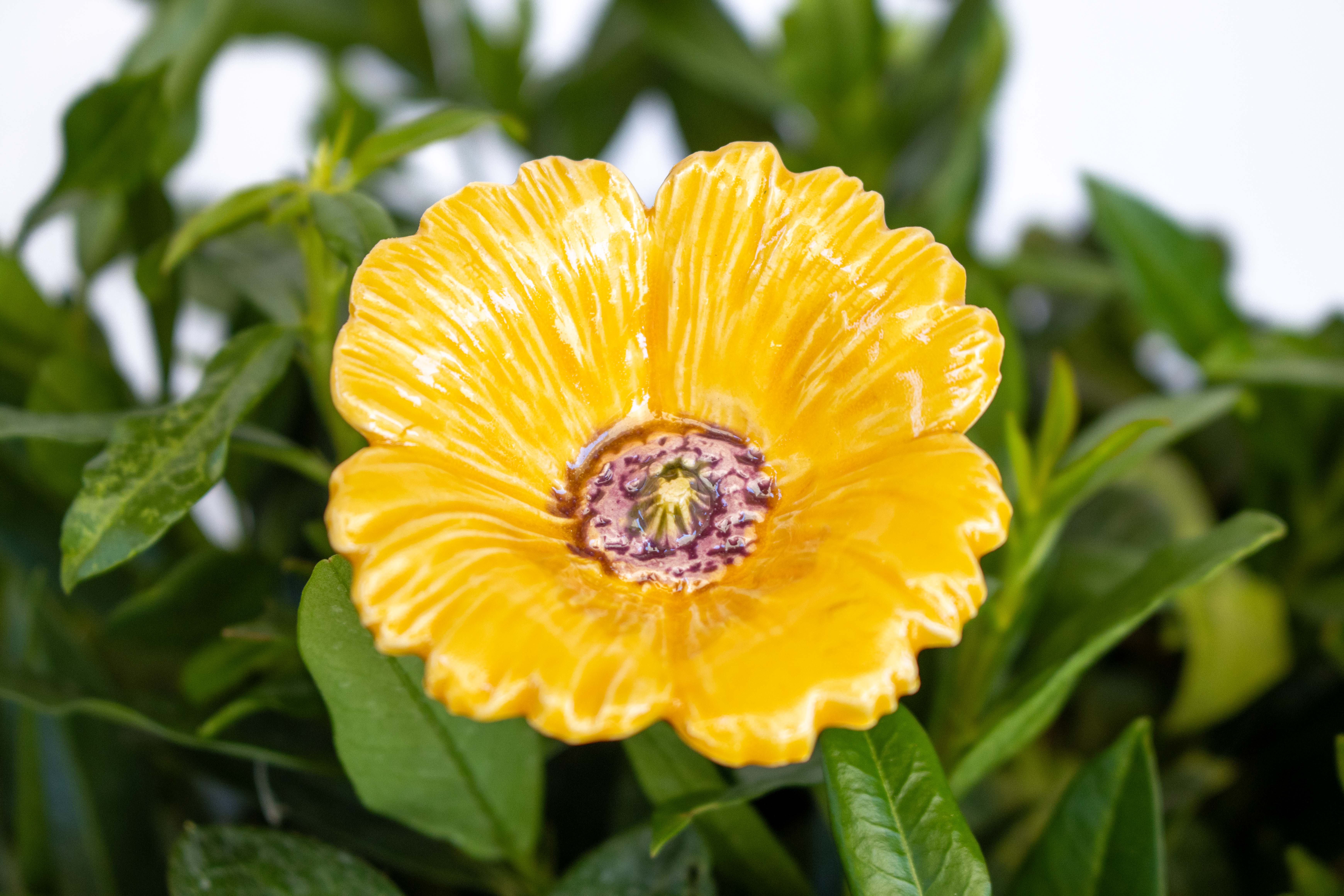 gelbe Keramikblume