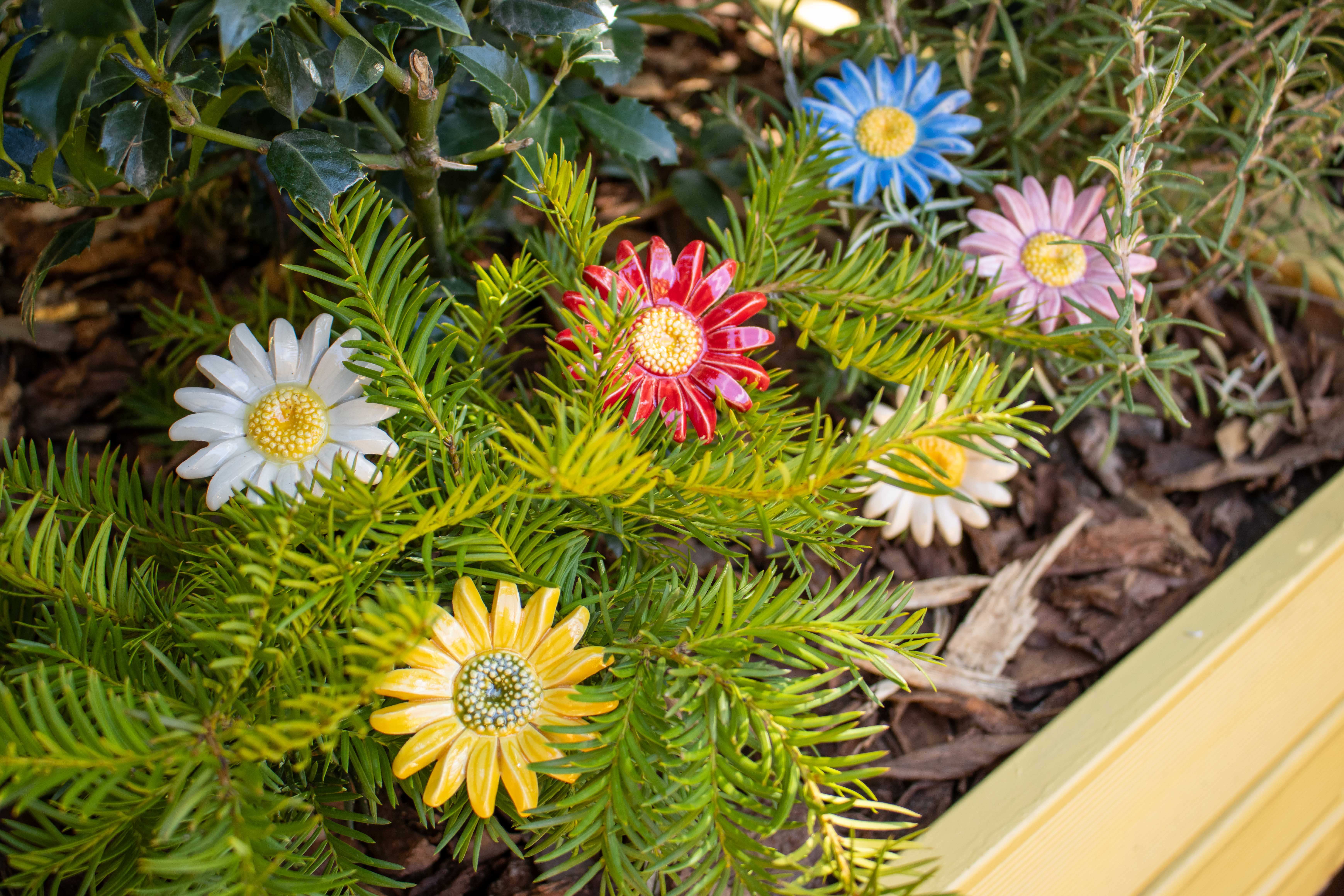 Keramik-margerite im Garten