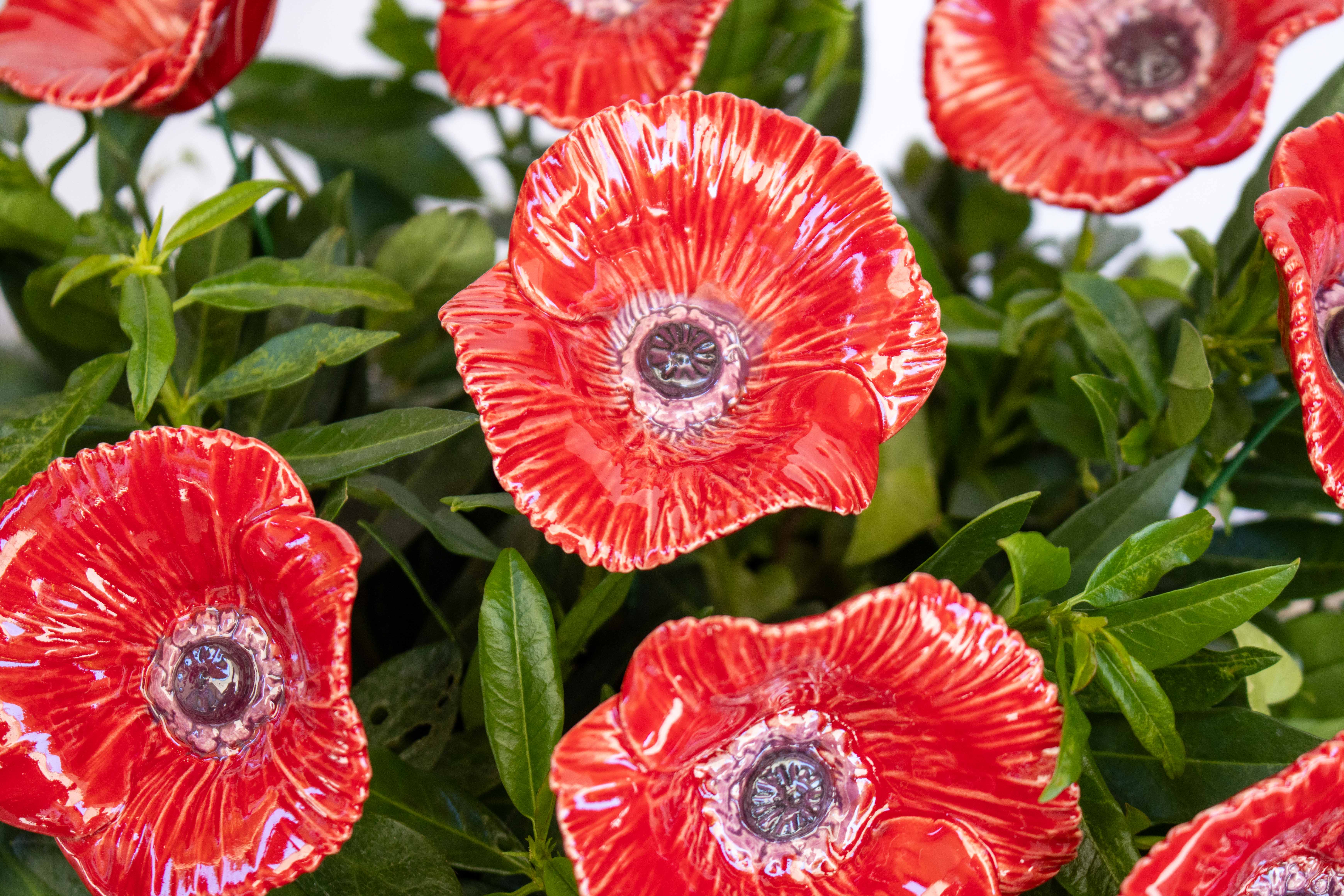Keramik mohnblume