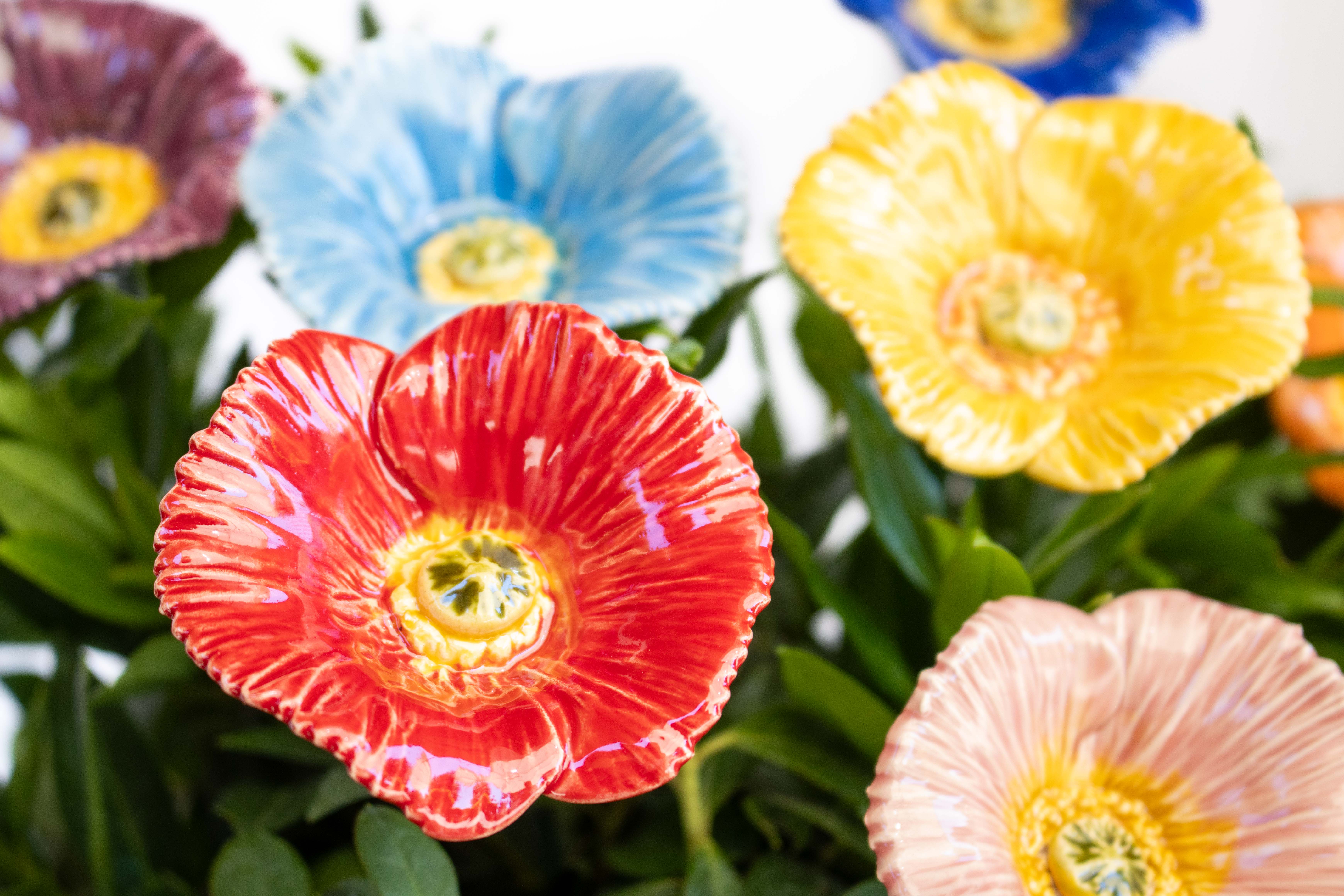 Keramik-Mohn