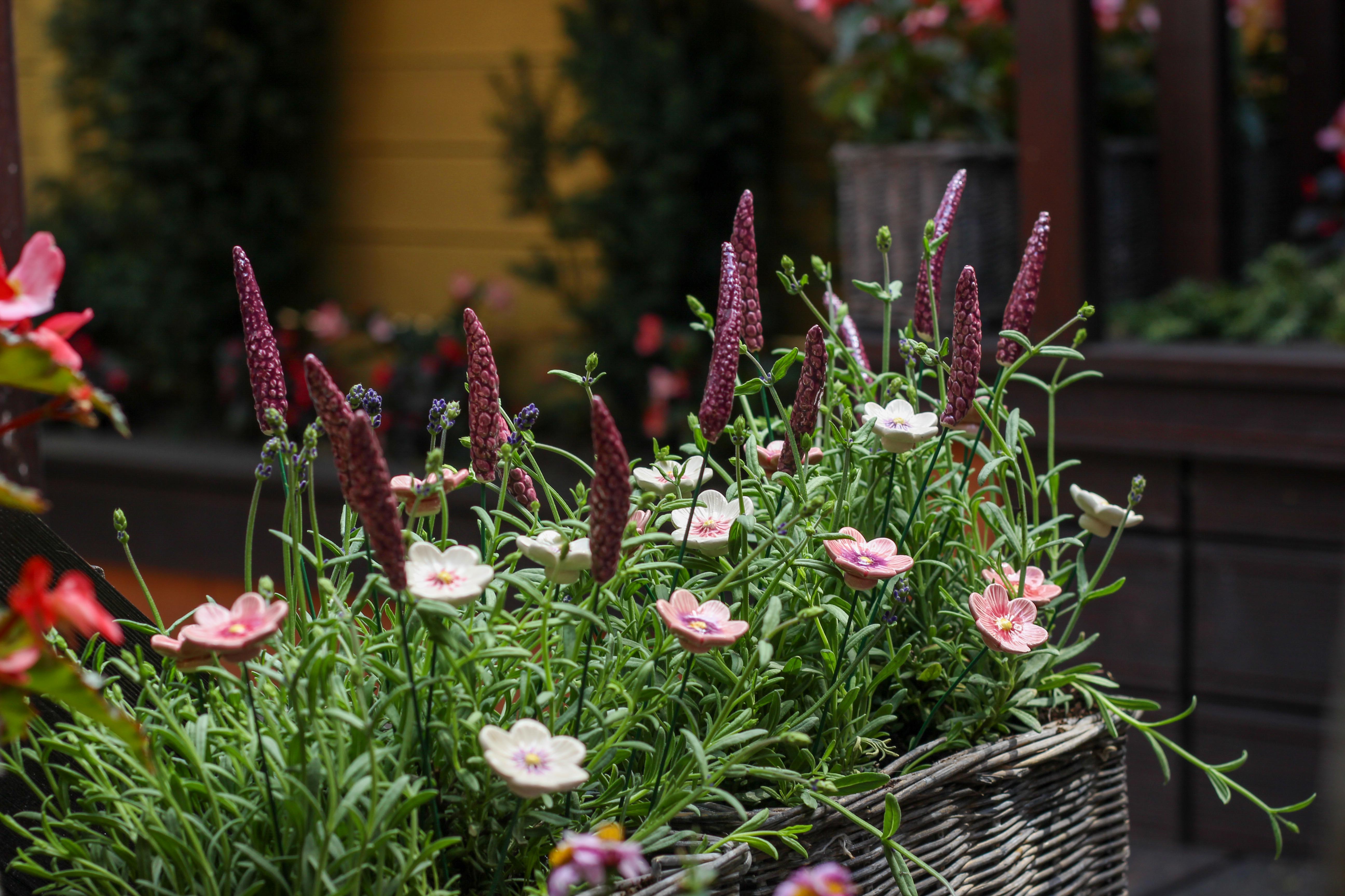 Keramik-Lavendel im Garten