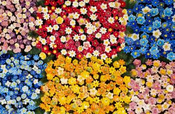Die Farben der Pflanzen und ihre Bedeutung: Welche passt zu dir?