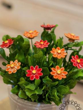 Kleine Margerite - Orange
