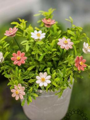 Kleine Margerite - Weiß