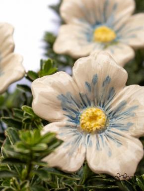 Kirschblüte - Hellblau
