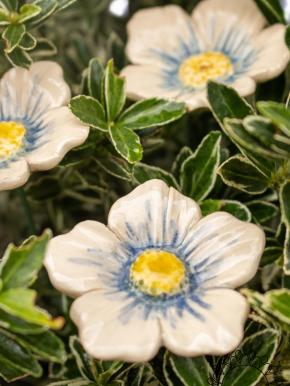 Kleine Kirschblüte  - Hellblau