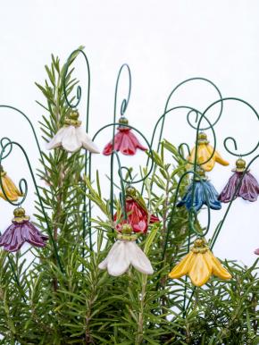 Hängende Glockenblume