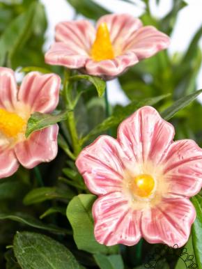 Kleine Malve - Rosa