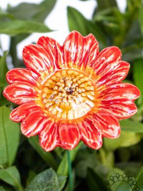 Dekor Sonnenblume - Rot