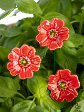 Mini Mohnblume - Rot