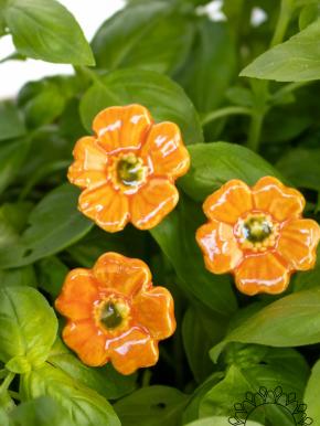 Mini Mohnblume - Orange