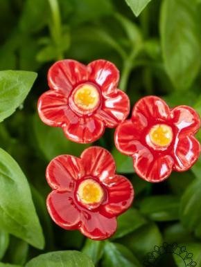 Erdbeere Blüte - Rot