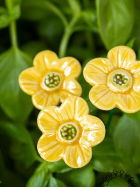 Erdbeere Blüte - Gelb