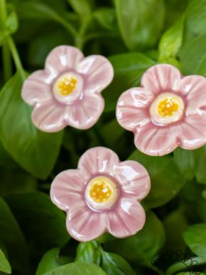 Erdbeere Blüte - Hellrosa
