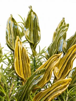 Tulpenblatt