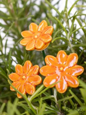Mini Margerite - Orange