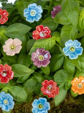 Mini Mohnblume