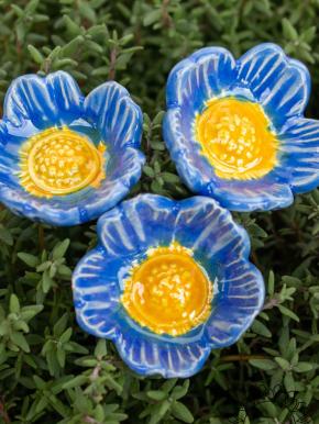 Heckenrose - Blau