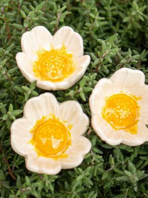 Heckenrose - Weiß