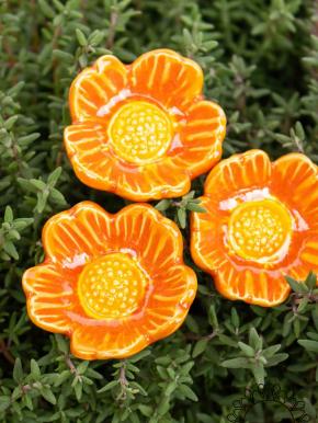 Heckenrose - Orange