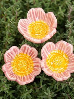 Heckenrose - Rosa