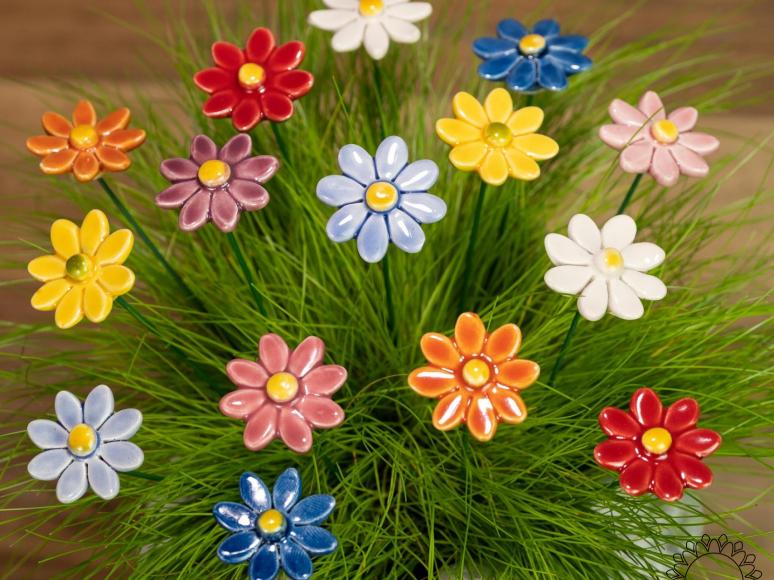 Kleine Margerite