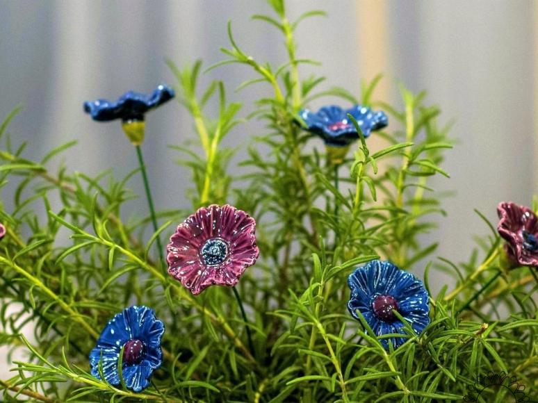Kornblume