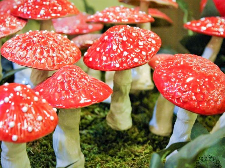 Fliegenpilz