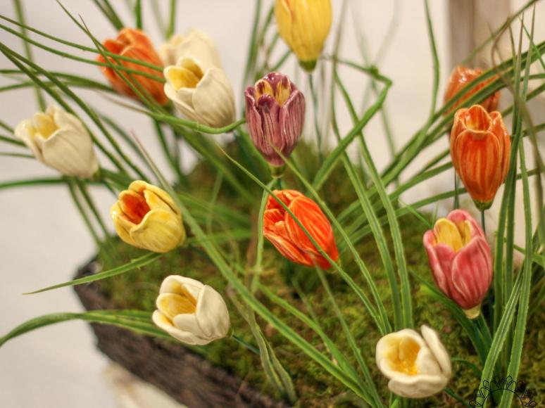 Krokus