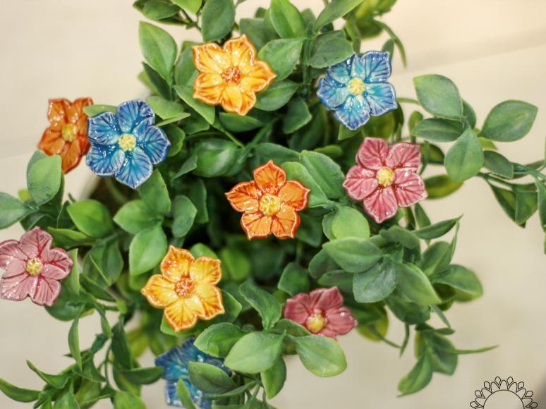 Feenblume