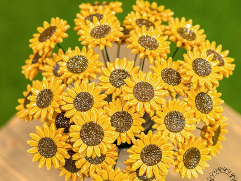 Sonnenblume