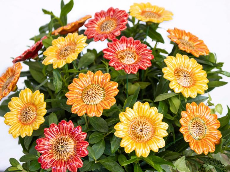 Dekor Sonnenblume