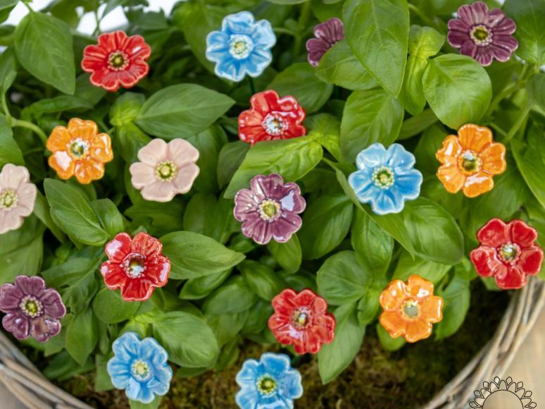 Mini Mohnblume