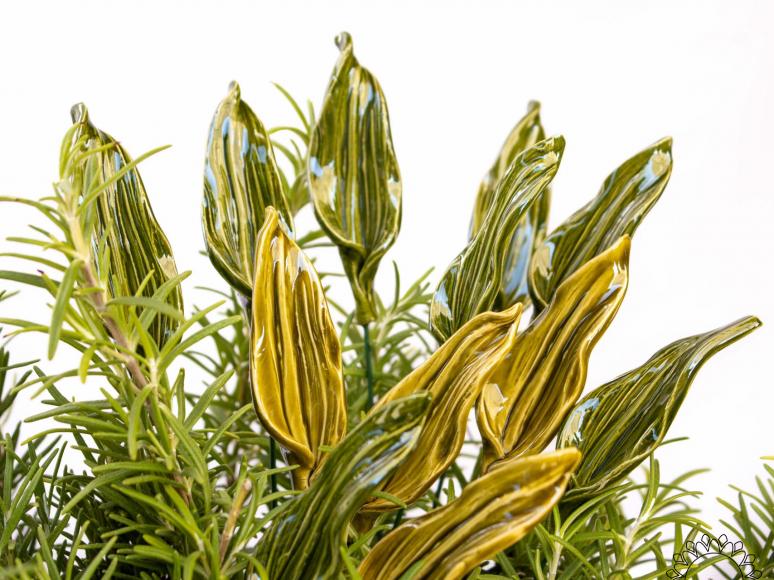Tulpenblatt