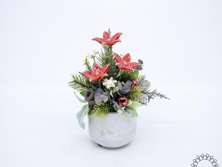 Kleine Weihnachts-Tischdekoration mit Sternblumen