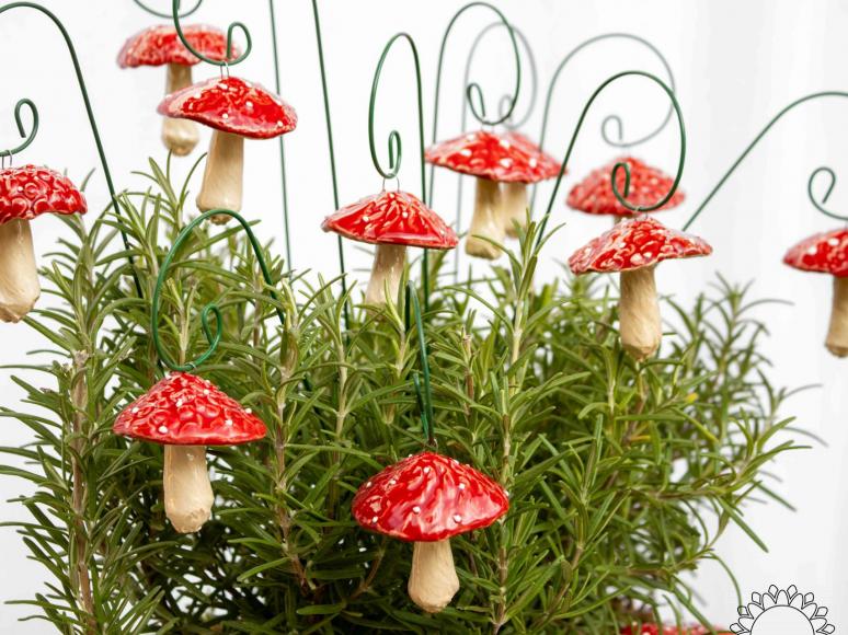 Hängender Pilz