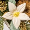 Sternblume