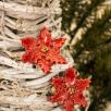 Weihnachtsblume - Rot