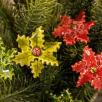 Weihnachtsblume