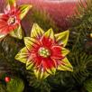 Weihnachtsstern - Rot