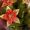 Sternblume - Rot
