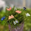 Schmetterling