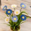 Riesige Margerite