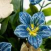 Kleine Tischdekoration mit Glockenblumen