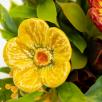 Kleine Tischdekoration mit Glockenblumen