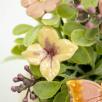 Mini Tischdekoration mit Schmetterling