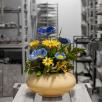 Große Tischdekoration mit Gartenmohnblumen - Blau