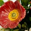 Große Tischdekoration mit Gartenmohnblumen